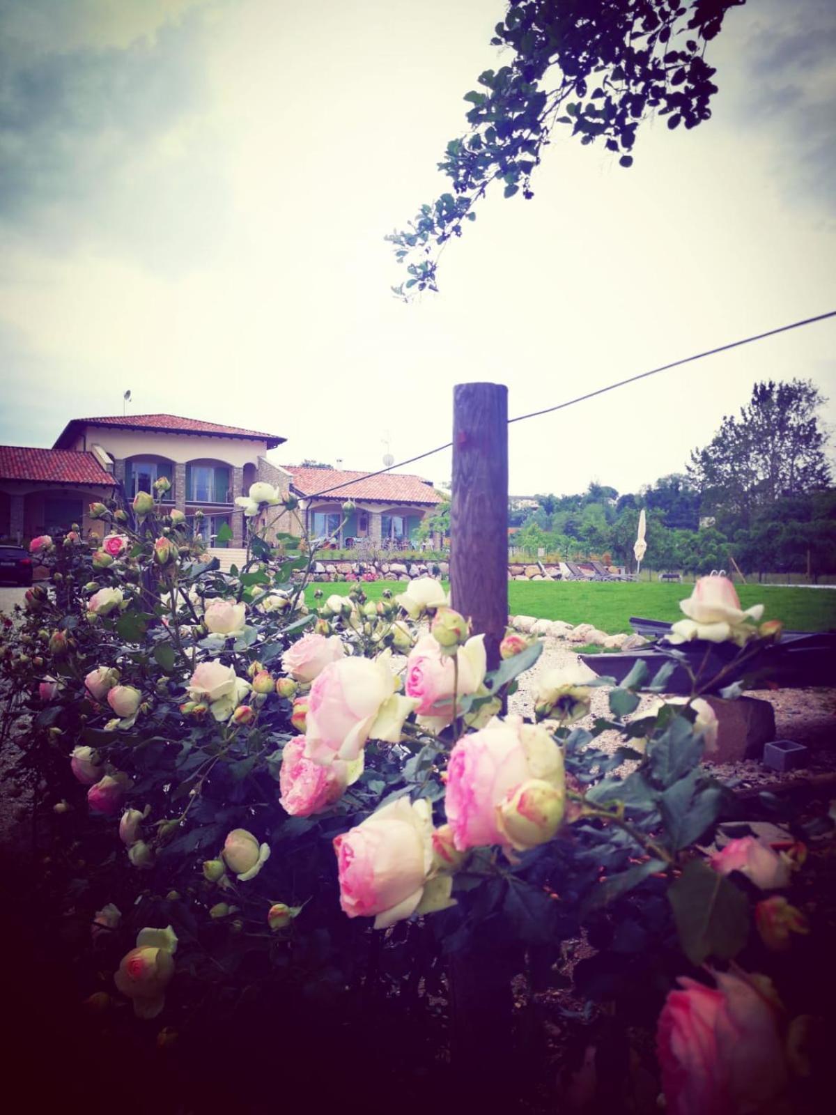 Orchidea Del Garda Bed & Breakfast Peschiera del Garda Exterior photo